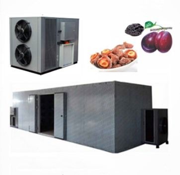 품질  High Efficiency Commercial Food Dehydrator Use Apricot Fruit Heat Pump Drying Machine 공장